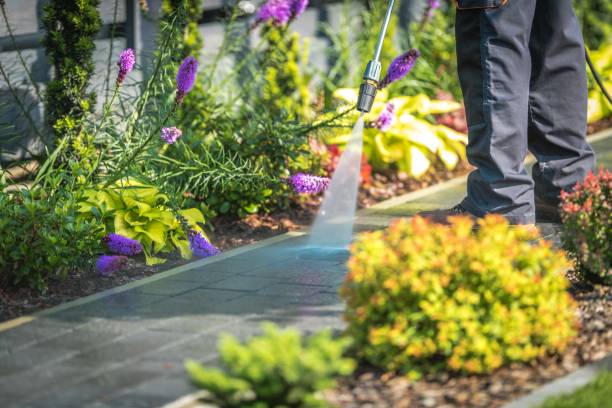 Best Dumpster Area Cleaning  in Lipatria, CA